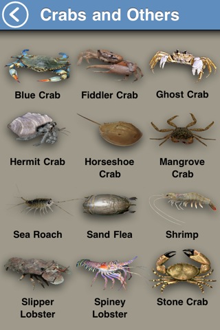fish-crabs