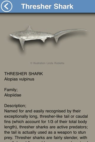 fish-thresher-